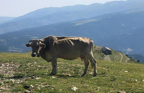 Panoramic Xalet la Molina con Vistas Excelentes - Foto 67
