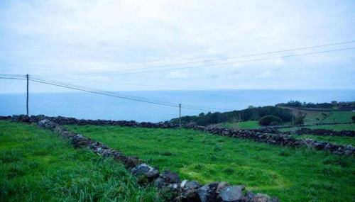 Casa das Artes - Photo 3