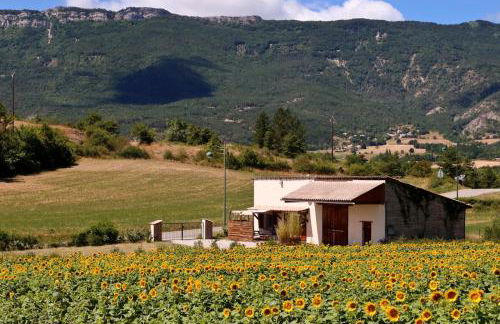 La Bargine - Photo 16