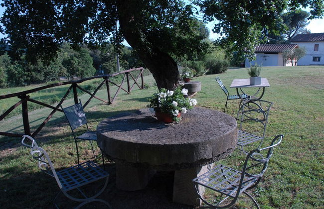 azienda agricola lo zolfino - Foto 61