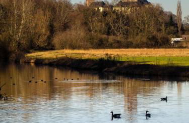 Ferienwohnung-Am-Sternbusch - Foto 18