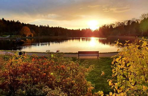 Harz Relax - Vier Jahreszeiten - Photo 16
