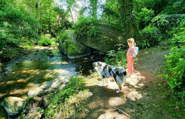 Maison Cosy Rénovée - Puy du Fou - Photo 20