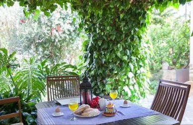 Can tronca - Foto 10