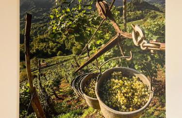 Accogliente appartamento in centro - Foto 10