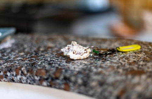 Stella d'Argento - Photo 45