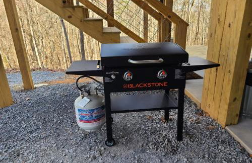 Cozy Cabin Retreat w/ Hot Tub & Nature Views - Foto 59