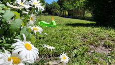 Le Gîte du Nohain - Foto 5, Garden