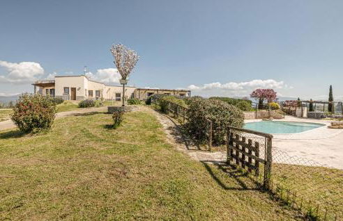 Blue Cherry - Foto 18