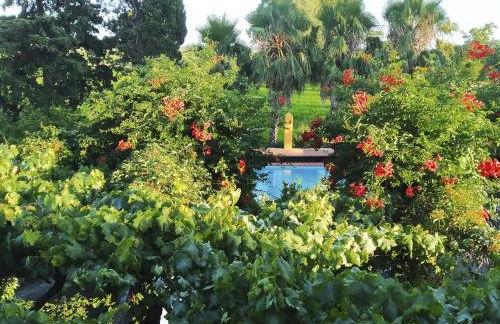 MAS DE BERNIS - Sequer - Foto 21