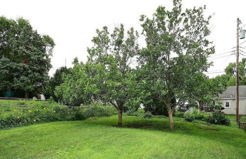 Hickory Haven - Heart of Omaha - Foto 14