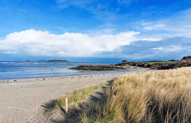 Les Agapanthes - Foto 44