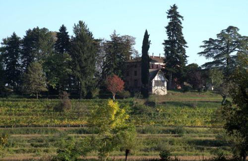 Casali del Picchio - Winery - Foto 1