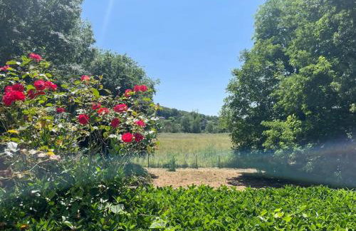 Huis op een eiland in de Loire - Photo 12