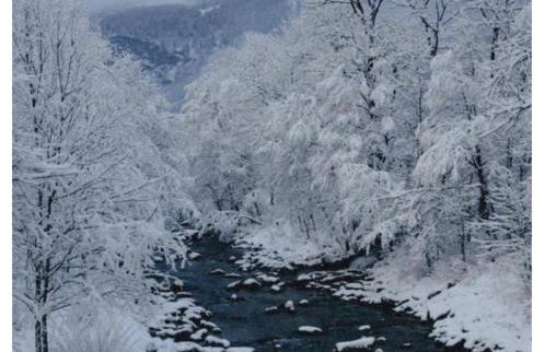 La vista sulla Valmalenco - Photo 26