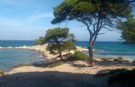 Haus Despina - Foto 30