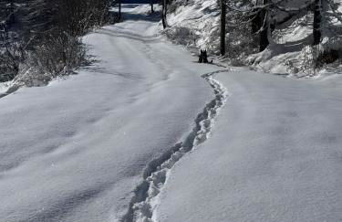 Gite T3 Le Balarino - Mercantour 1 - Foto 34