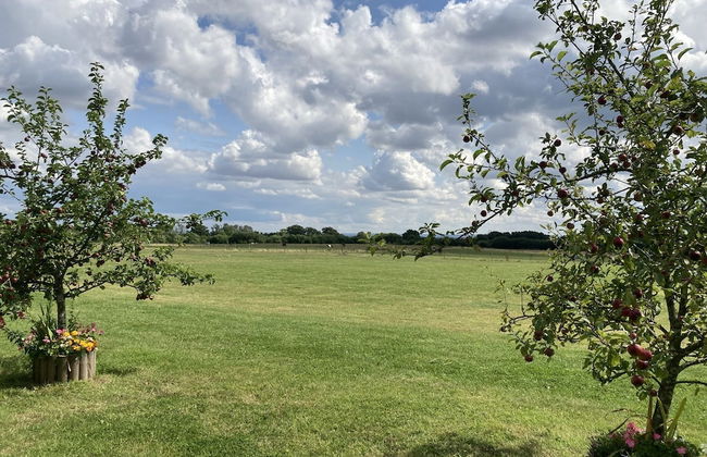 Oxton Hill Hideaway - Foto 29