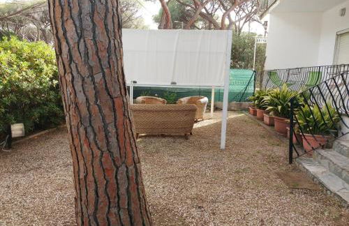 La Perla al mare 300mt from Perla Marina Beach - Foto 20