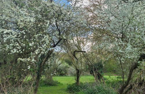 Secluded 16th Century Farmhouse with private grounds - Foto 25