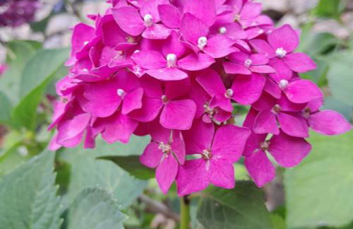 Gîte MANDRA chez gîtes QUE CANTA - Photo 3