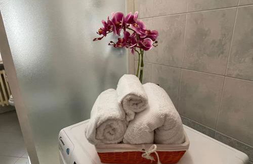 Ca' Mariuccia appartamento in Venaria Reale - Foto 15