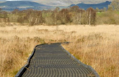 Ivy Bush Cottage - Photo 15