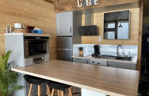 Duplex Les Plautus 2 - Orcières-Merlette - Appt vue montagne - Foto 5