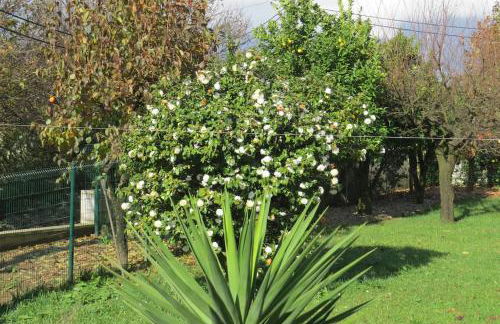 Sweet Home Braga - 4 rooms apartment - Foto 7