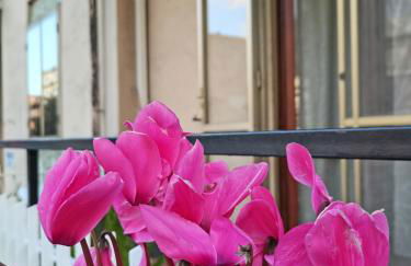 Domus Lineker - Foto 30