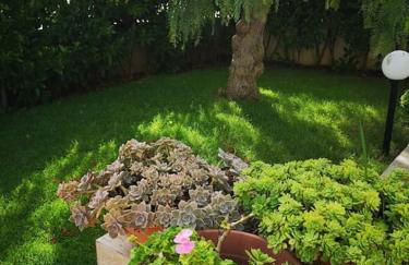 Oasi Marina a Pantanagianni - Foto 3