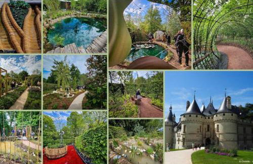 Les pivoines au calme 15min du zoo - Foto 25