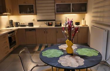 The elegant urban apartment - Foto 44