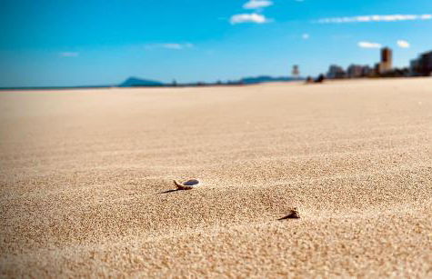 Apartamento El Sol - Foto 21