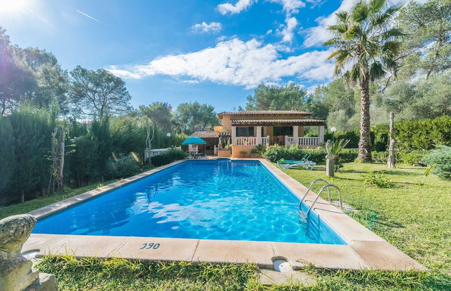 Els Pins in Sa Pobla - Foto 26