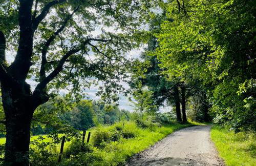 LandschaftsTräume - Photo 22