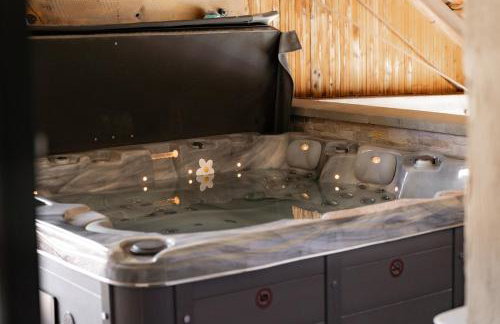 Maison d'hôtes avec Jacuzzi -Sauna - Photo 41