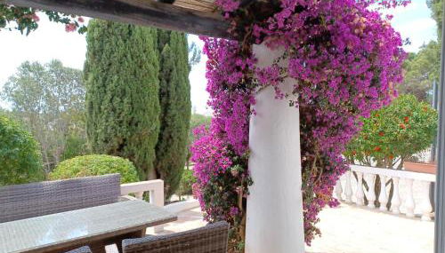 Quinta do Paraíso - Casa Colynda - Foto 1, Garden view