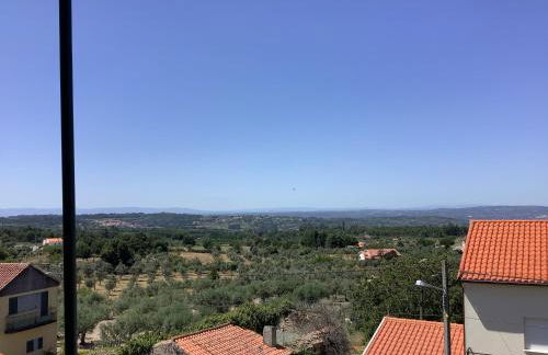 Casa das Camélias - Foto 44