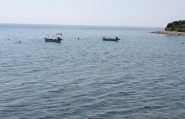 Janis Home - Foto 18