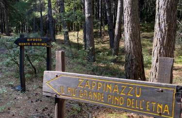 Etna Charming Apartment - Foto 41