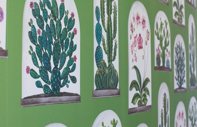 Resort Ravenna in Massa Lubrense - Foto 51