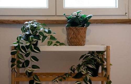 Rafaelo Pool Side Villas - Foto 22