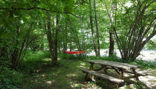 Gite la Fargue de Cabre - Foto 4, Garden