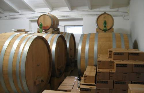 Capriva Del Friuli - CASA RONCUS - Foto 21