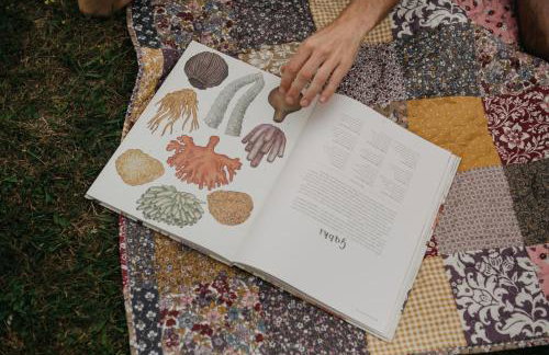 Osada Jelonki Wielka Puszcza - Foto 24