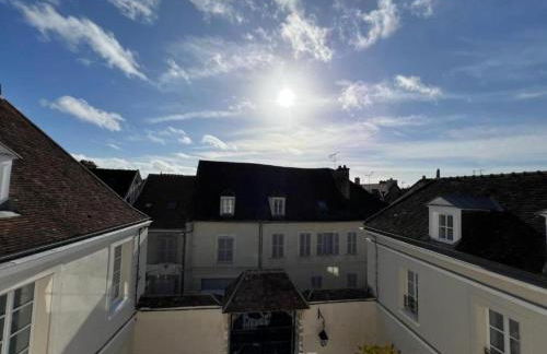 Le Laurencin Sens - Le Seventies - Cœur de ville - Foto 16