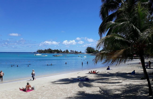 Allamanda Studios and Apartments - Photo 46