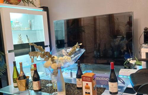 Maison 8 pièces Spa jacuzzi Paris Airport CDG jardin arboré clos - Foto 10