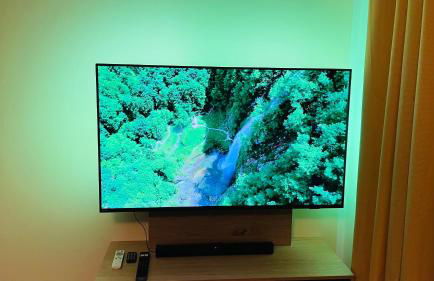 Kleine Burg Ovelgönne - Foto 26